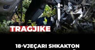 18-vjeçari shkakton aksident fatal në Hessen, vdes nëna – dy vajzat i mbijetojnë
